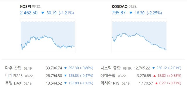 코스닥 지수는 전 거래일 대비 2.25%(18.30포인트) 떨어진 795.87에 장을 마무리 지었다. /네이버 증권정보 캡처