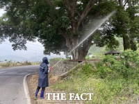  장흥군 “소나무 숲 지킨다” 병해충 집중 방제 나서