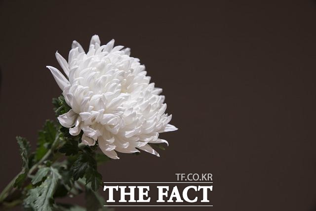 사진(이미지)은 기사와 직접적인 관련이 없음 / 픽사베이