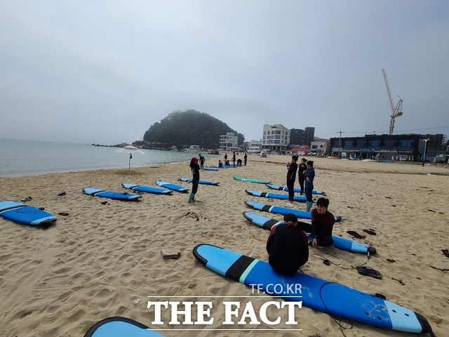 안동대 체육학과 학생들이 서핑수업을 받고 있다. / 독자제공