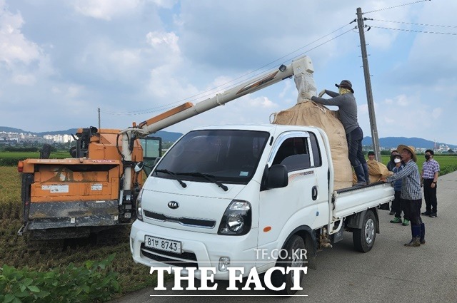 서산시는 26일 올해 첫 벼베기를 실시했다. / 서산시 제공