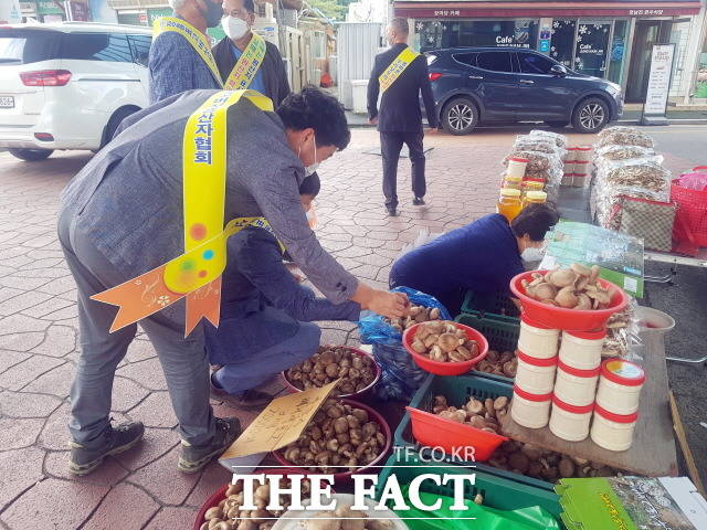 장흥군이 추석을 맞아 ‘임산물 원산지 표시’ 합동 단속을 실시한다/장흥군 제공
