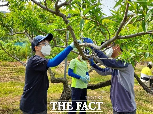서울 도시 아이들의 농촌 유학길이 열렸다. 전북도와 전북도교육청, 서울시교육청, 재경전북도민회는 31일 서울시교육청에서 농촌 유학 활성화를 위한 업무협약을 체결했다.