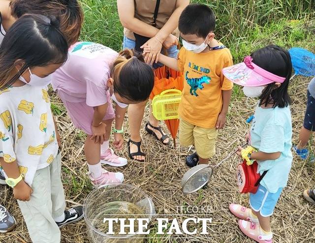 둠벙체험 상시프로그램. / 서산시 제공
