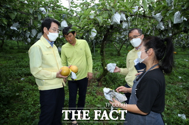 강진원 강진군수가 6일 제11호 태풍 ‘힌남노’로 발생한 태풍 피해 현장을 점검했다/강진군 제공