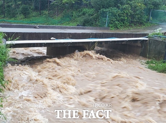 5일부터 6일까지 포항일대에는 제11호 태풍 ‘힌남노’ 영향으로 강풍과 최고 394mm의 폭우가 쏟아졌다./독자제공