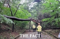  충남 태풍 '힌남노'에 강풍 피해 속출