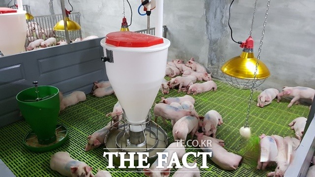 예산군은 축산악취 전담반을 편성해 운영한다. / 예산군 제공