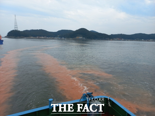 완도군이 적조주의보 발령 방제 활동을 실시하고 있다(약산면 어두리 해역 황토 살포)/완도군 제공