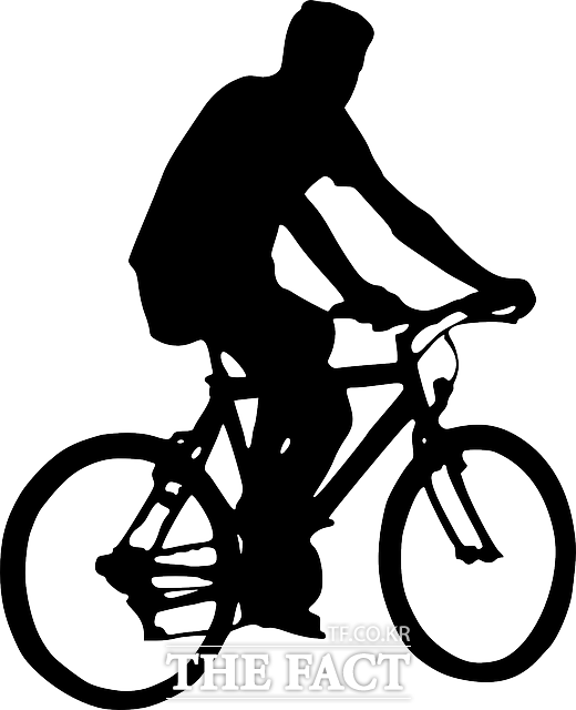 사진(이미지)은 기사와 직접적인 관련이 없음 / 픽사베이