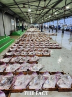  홍어 어획량 1위, 흑산도 아니고 이제 ‘전북 군산’