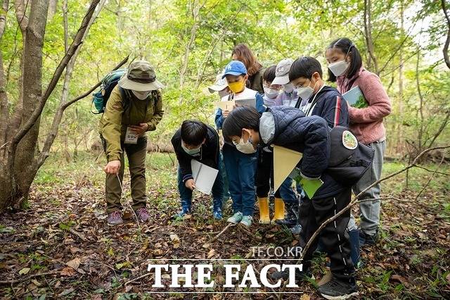 우리 산림생물 바로 알기 탐험대 활동 모습. /국립수목원 제공