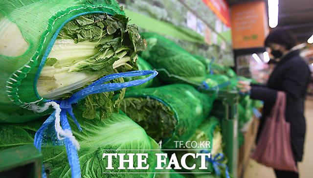 폭염과 폭우로 농산물 가격이 급등한 가운데 9월에도 상승세가 이어질 전망이다./이새롬 기자