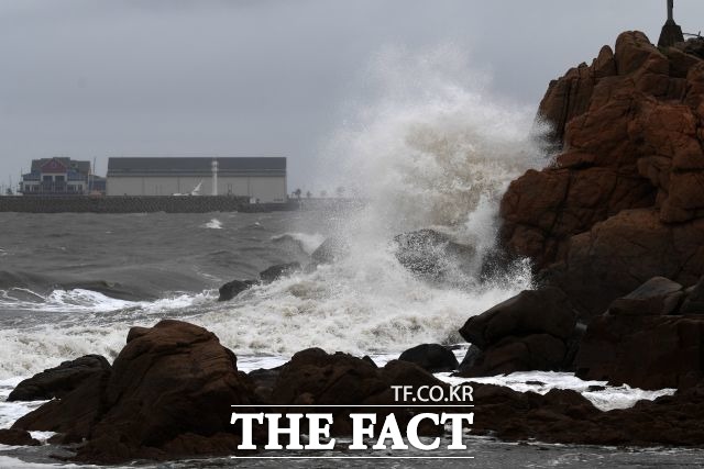 제14호 태풍 난마돌이 북상하면서 경상권 해안 지역과 강원 영동에 강풍을 동반한 비가 내리고 있다./남용희 기자
