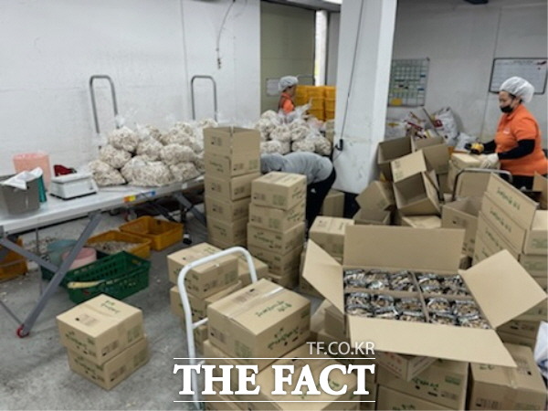 만가닥버섯 수출을 위해 작업을 하고 있다/해남군 제공