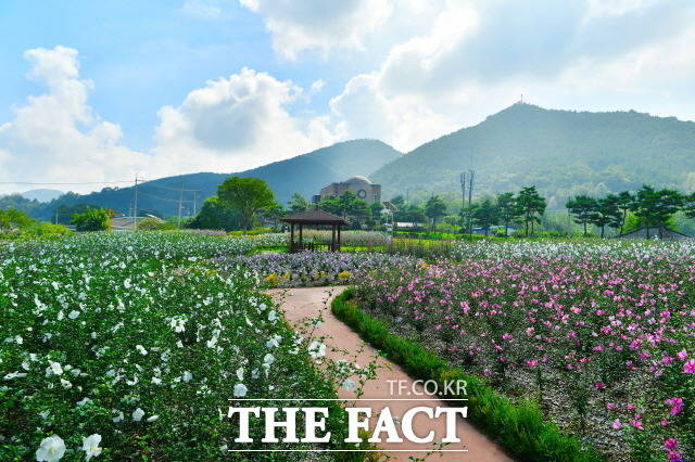 장성무궁화공원이 산림청 주관 제9회 나라꽃 무궁화 명소 공모전에서 최우수상을 수상했다./장성군 제공
