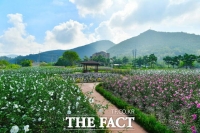  장성군, 전국 최고 무궁화 명소로 ‘우뚝’