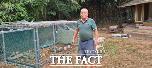 우크라 탈출 고려인동포 김레브(72)씨가 고려인마을이 마련한 쉼터에 머물며 소일거리로 닭을 키우고 있다./고려인마을 제공