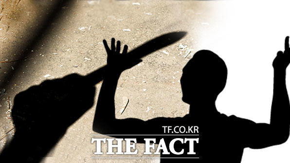 술에 취해 외도 사실을 밝힌 아내를 흉기로 살해한 혐의로 재판에 넘겨진 50대 남성이 항소심에서 감형됐다./더팩트DB