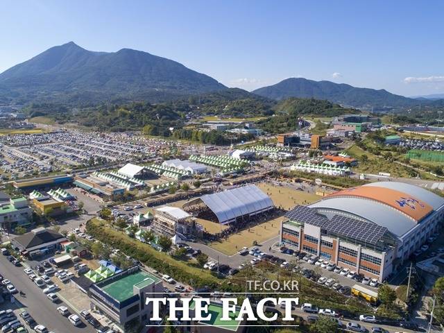 산청한방약초축제장 모습/산청군 제공