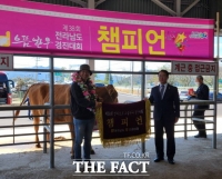 '완도자연그대로' 한우, 전남에서 챔피언으로 등극