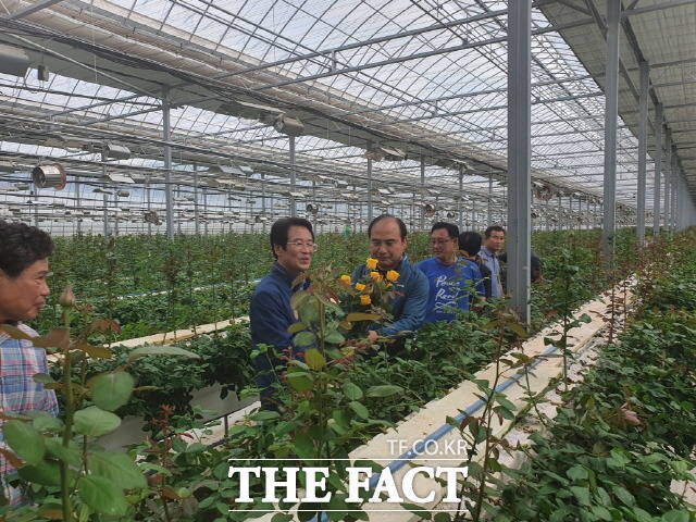 강진원 군수가 화훼 재배 농가를 현장 방문했다/강진군 제공