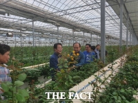  강진원 강진군수 화훼 재배 농가 현장 방문