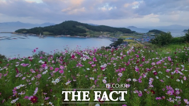완도군, 청정완도 가을 섬 여행 진행(지난 9월 21일 촬영한 청산도 전경)/완도군 제공