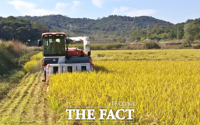 정읍시농업기술센터 관계자는 “무기질비료 가격 급등으로 지역 농가가 많은 어려움을 겪고 있다“며 “이번 무기질비료 지원으로 농가의 경영비 부담을 줄이는 데 도움이 되길 바란다”고 말했다. / 정읍시농업기술센터 제공