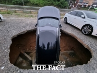  장철민 의원 '싱크홀 점검에 평균 220일 걸려'