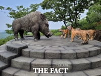  의령군, 한우산 억새숲 속 호랑이 보러 오세요