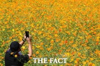  [오늘의 날씨] 낮 기온 20도 안팎 쌀쌀…중부 가끔 비