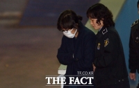  '국정농단' 최서원, 악성 댓글 누리꾼 고소…1500여건