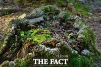  제1회 광릉숲 사진 공모전...대상 ‘생은 이어진다’