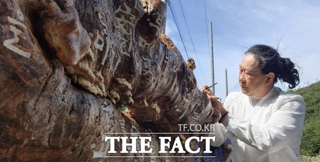 고향 조도 마을의 역사와 함께 200년을 살고 수명을 다한 팽나무에 한땀 한땀 한글을 새기고 있는 대한민국 캘리그래피 명장 진성영 작가./작가 제공