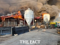  충북 보은군 축사서 불… 돼지 500마리 폐사