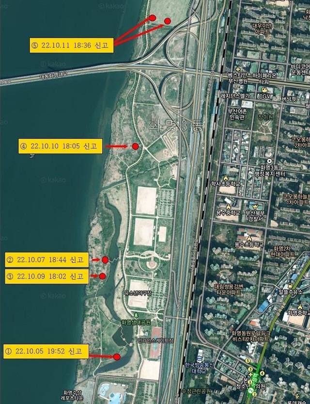 부산 북구 화명생태공원 갈대밭에서 지난 5일부터 11일까지 방화로 추정되는 화재가 5건 발생했다. /부산소방본부 제공