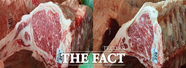 왼쪽부터 국무총리상을 수상한 서천군 이승덕 씨 출품축과 대회추진협의회장상을 수상한 천안시 최한수 씨 출품축. / 충남도 제공