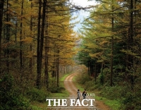  산림과학원 'ha당 400~800그루 숲 산림치유 효과 가장 커'