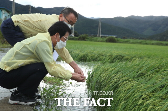 강진원 군수 태풍 피해 현장 방문/강진군 제공