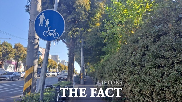 자전거 도로와 함께 있는 보도가 너무 좁다. 이 보도에 성인 한 명이 지나가면 꽉 차 자전거는 물론 휠체어도 움직이지 못한다. 그런데 보도에 가로수와 전신주가 같이 차지하고 있어 이동권이라는 말을 무색하게 만든다. / 광주 = 나윤상