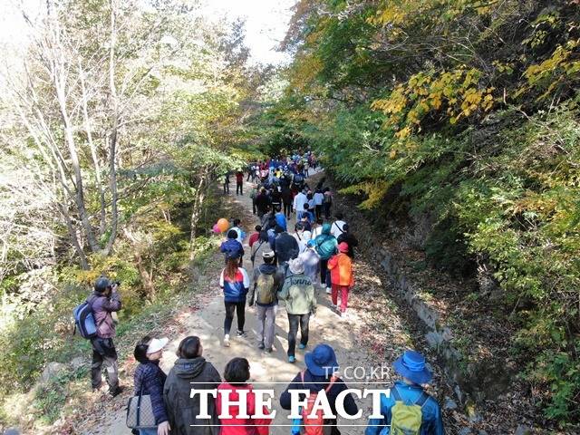 지리산 회남재 숲길 걷기 행사 모습/자료사진/하동군 제공(자료사진)