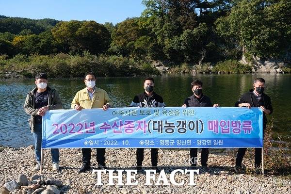 충북 영동군은 지역의 큰 물줄기인 양산면과 양강면 일원 하천에 토종어류인 대농갱이 11만 4천여마리를 방류했다. /영동군.