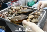  오염된 어패류 먹다간 자칫 ‘비브리오패혈증’ 우려…전북 2명 숨져