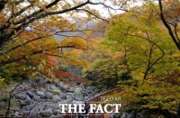  제주 한라산 '울긋불긋 단풍' 물들었다