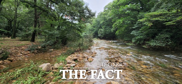 경기 안양시가 산림청에서 시행하는 ‘2023년 산림유역관리 공모사업’에 서울대 관악수목원 내 유역관리사업이 경기도에서 유일하게 선정됐다./안양시 제공