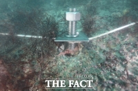  완도군, 연안 생태계 보전‘바다 숲 ’조성 힘써