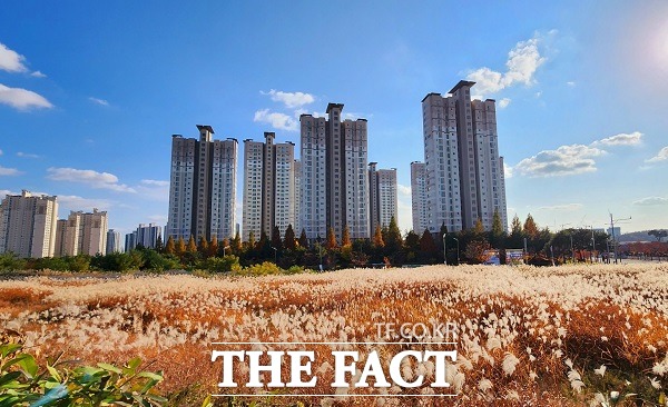 31일 오후 충북 청주시 흥덕구 오송읍에 위치한 오송사회복지관에서 바라본 오송 풍경. 갈대가 바람에 이리저리 흔들리고 있다. /청주=이주현 기자