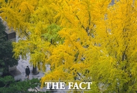  [오늘의 날씨] 출근길 기온 '뚝'…전국 맑고 큰 일교차