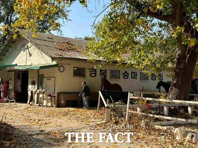 대구 앞산의 경북체육회 소유의 승마장에는 현재 일반인이 위탁한 6마리의 말들을 관리하고 있다 / 경북 = 박성원 기자